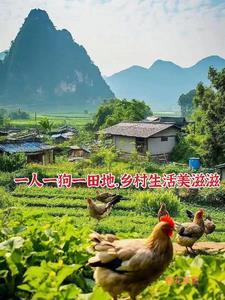 最牛小神医清风免费阅读