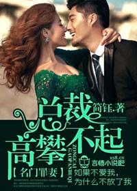 名门罪妻总裁高攀不起
