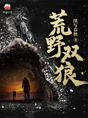 荒野双狼免费全集