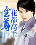花都至尊高手叶修