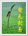 火爆总裁请接招