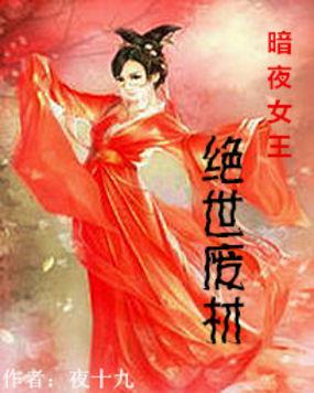 暗夜王妃整本免费阅读