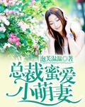 总裁蜜婚