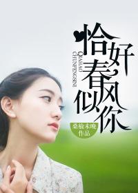 恰好春风似你短剧免费观看