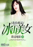 我的极品美女冰山总裁