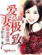 总裁的新婚罪妻免费一阅读