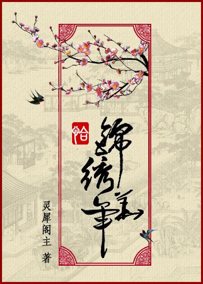 恰锦绣华年TXT资源