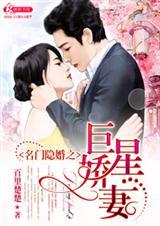 名门隐婚系列