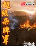 杂牌军与正规军的区别