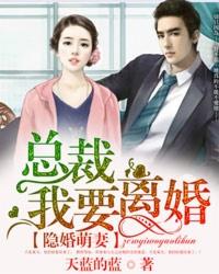 隐婚萌妻总裁我要离婚