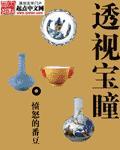 透视宝眸全文免费阅读