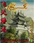 飞天潜龙1-40集免费观看