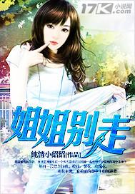 姐姐别走txt