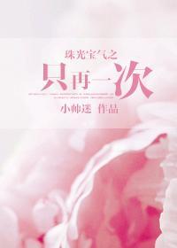 珠光宝气之只再一次 小帅迷txt