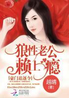豪门追婚令免费版
