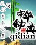 中华秘典书籍