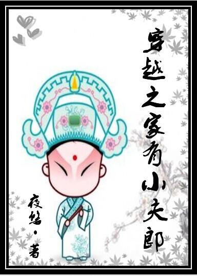 穿越之家有小夫郎晋江