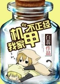机甲玩家