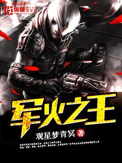 军火之王1-200集全免费观看