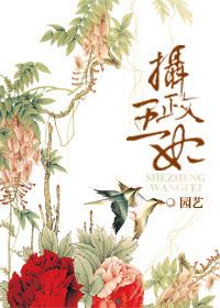 重生之摄政王妃